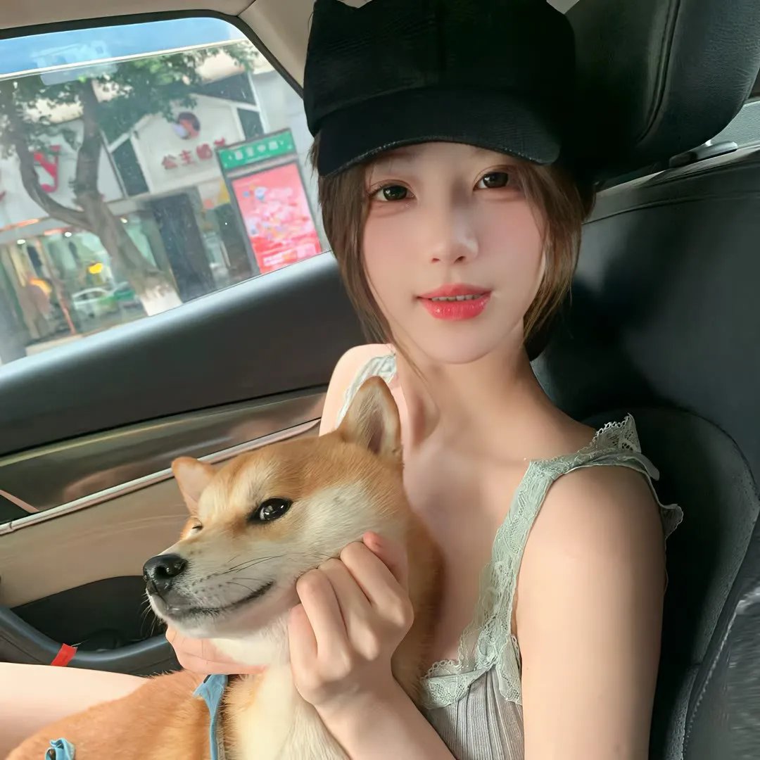 流浪的迪潘